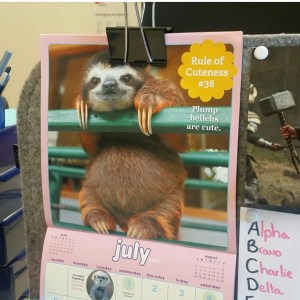 CuteoverloadCalendar