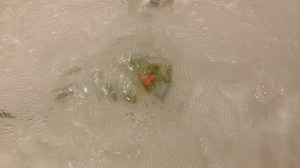 HollyGolightlyBubbleBar5