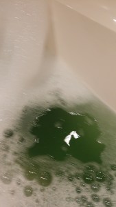 HollyGolightlyBubbleBar9