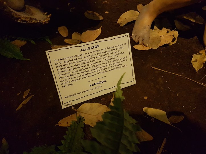 ripleys believe it or not