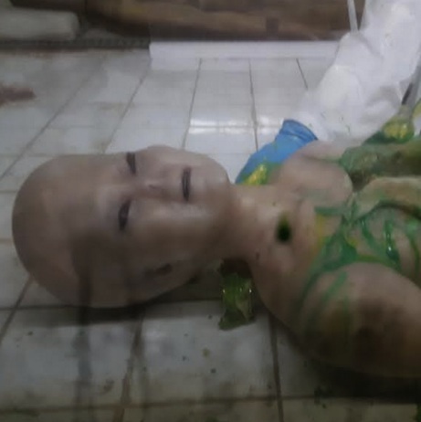 ripleys believe it or not