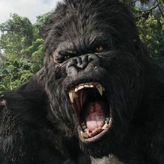 Kong